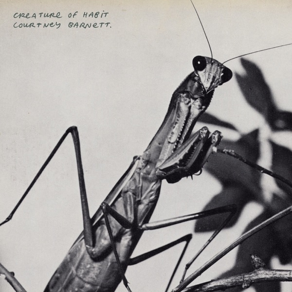 Review: Courtney Barnett - Creature of Habit